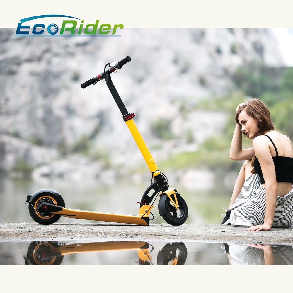 Portable Hover Board Foldable Electric Scooter