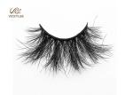 Fan Shaped Whole Strip Cotton Stalk 5D Volume Lashes