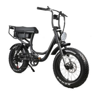 Wholesale 1000w Bafang Motor Electric Bicycle Tire Fat Boy Beach Cruiser e Bike for Two Seat from china suppliers