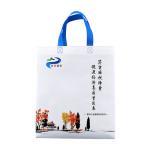 Shopping PP Biodegradable Non Woven Bag Shrink Resistant