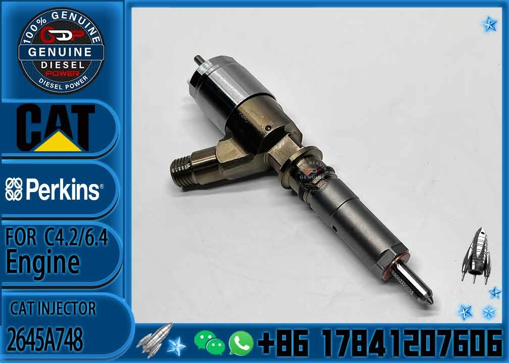 Common rail injector fuel injecto 10R-7675 2645A748 2645A743 320-0670 10R-7670 317-2300 for C4.2 C6.4 Excavato