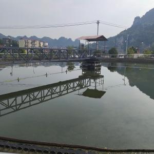 Wholesale Half Bridge Sludge Scraper Equipment Peripheral Drive Carbon steel from china suppliers