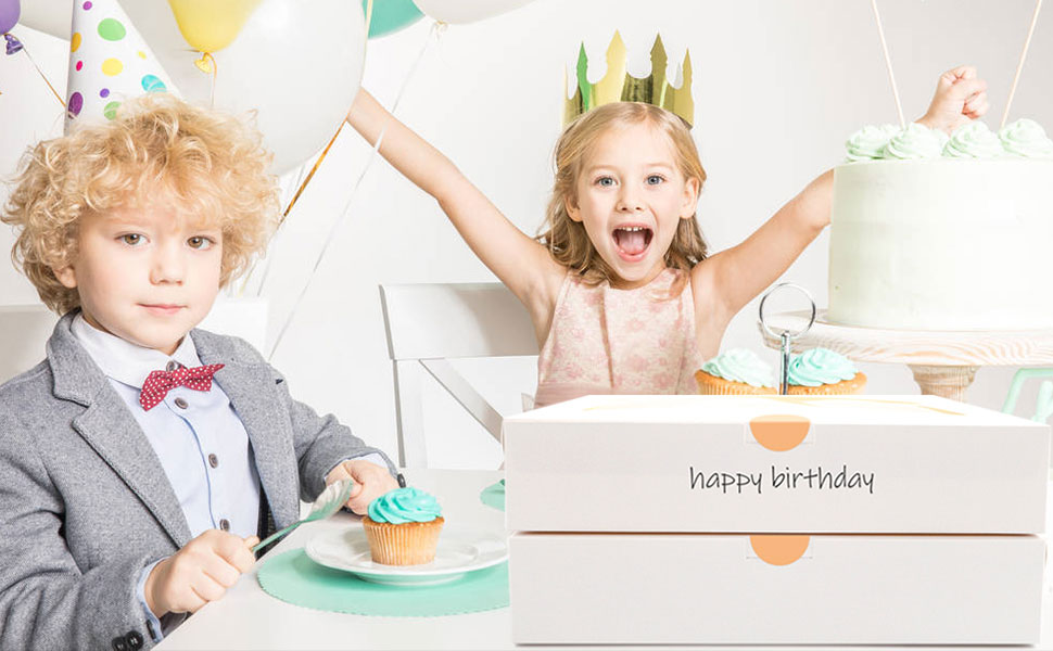 10 12" Inch Tall Cheese Cake Cupcake Paper Bakery Box with Clear Window