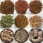 Stainless Steel Construction Large Capacity Dry and Wet Pet Food Pellet Extruder