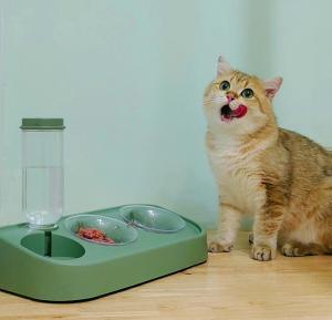 Wholesale Ceramic Automatic Cat Feeder Dry Wet Depart For Cats from china suppliers