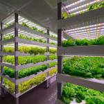 Hydroponics Container Mini Green House Grow Control Aeroponic Growing System