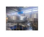 110v/220v/380v/440v/480v BEST SALES 72 HEADS MINERAL WATER BEVERAGE BEER