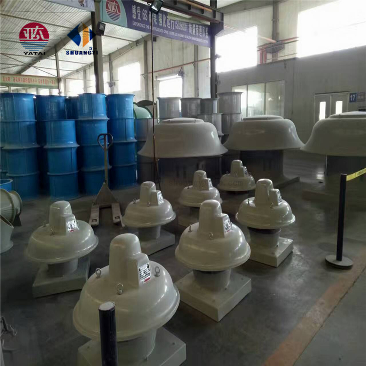 Customized Support Mushroom Roof Top Exhaust Fan with Performance and Standard Design