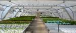 PE protective film customized green house for agriculture anti frost,Venlo Glass