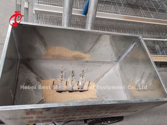 Automatic Chicken Feeding Cart Designed For Chicken Battery Cage Poultry Farm Sandy
