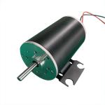 Size 30mm to 110m Customizable Brush Dc Motor 10w upto 1000w 12V 24V 36V 40V 48V