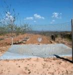 Durable Agricultural Rainwater Harvesting Bag for Efficient Storage