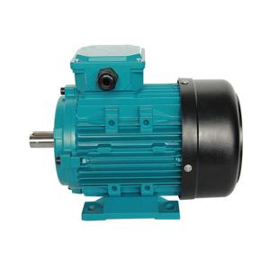Wholesale 0.75KW Electric Motor Water Pump MS-801-2 IE2 1HP EFF2 from china suppliers