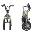 Three Wheel Foldable Electric Scooter , Electric Powered Bicycle 4-5h Charger