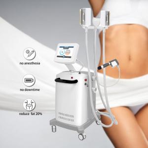 Wholesale Belly Burning High Efficient Cryolipolysis Slimming Machine from china suppliers