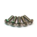 A2 / A4 Stainless Steel Machine Screws , Torx Recess Flat Head Machine Screws