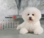 Animal Calendar Printing, Kraft paper calendar, pop up calendar supplier,