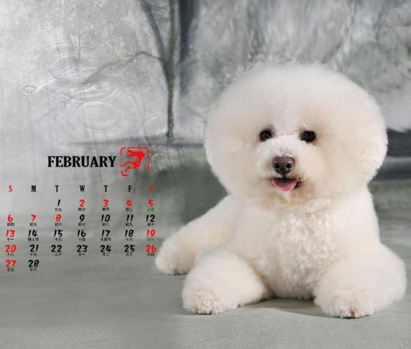 Animal Calendar Printing, Kraft paper calendar, pop up calendar supplier,