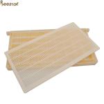 Apicultur Equipment Queen Rearing Beekeeping Queen Bees Storage Box