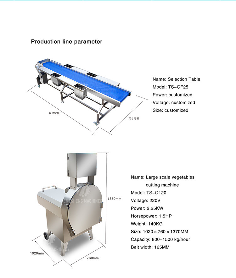165MM Belt Industrial Vegetable Processing Machine Fruit Selection Washing Cutting Machine