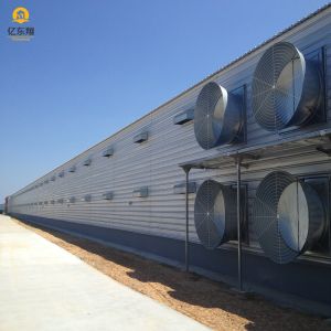 Wholesale Galvanized Steel Structure Poultry House for 20 Chickens from china suppliers