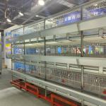 Hot Galvanizing Poultry Farm Cage , 3 / 4 Tiers Chicken Steel Cage For Layers