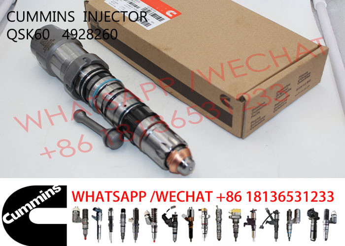 OEM 4928260 4062569 Common Rail Fuel Injector