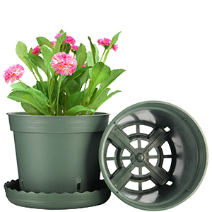 plant pots indoor