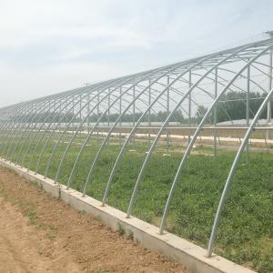 Wholesale Plastic Film/Glass Greenhouse For Agriculture And Livestock Height Designable from china suppliers