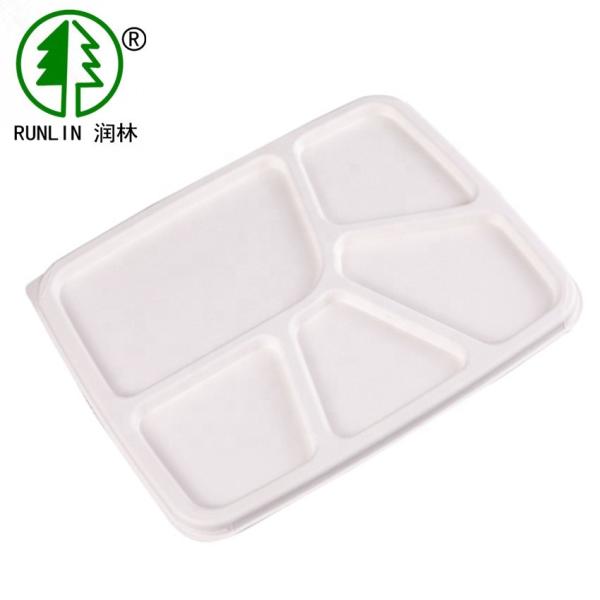 Disposable Paper Biodegradable Food Trays Bagasse 5 Compartments For School