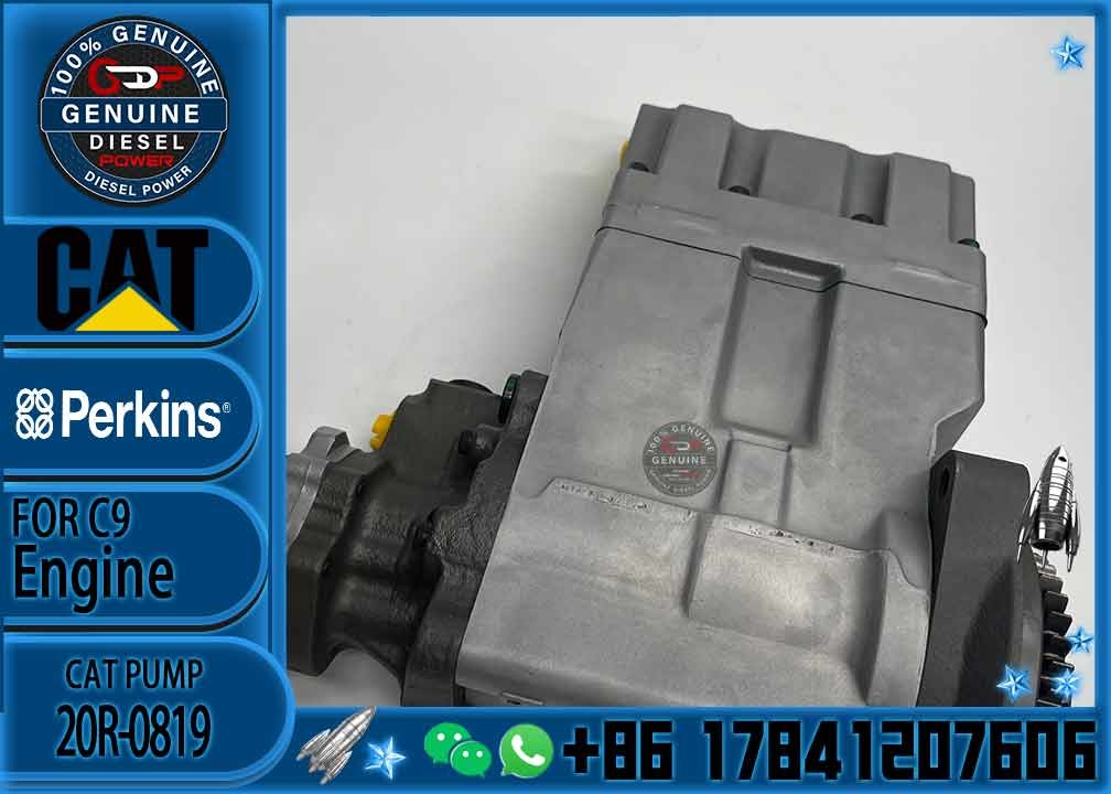 Common Rail Injection Pump 319-0678 304-0678 Fuel Pump 312-0678 10R-7148 10R-8900