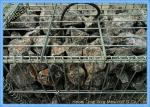 Zinc Coated Welded Gabion Baskets , Stone Filled Wire Cages Square / Rectangular