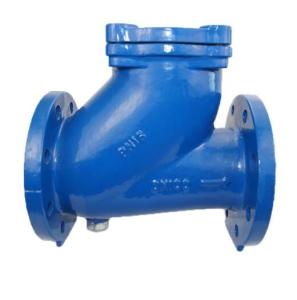 Wholesale Ductile Iron Silence Globe Needle Check Valve Flange End Epoxy Coating from china suppliers
