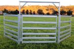 20pcs Bundle Heavy Duty Cattle Corral Panels For Sale & Gate