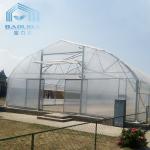 Single Span Clear Film Tunnel Top Vent Greenhouse Sri Lanka Prefabricated