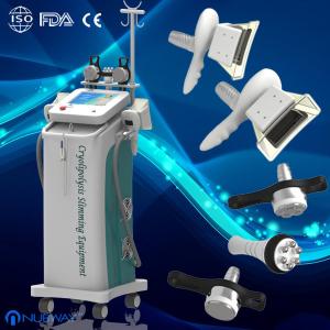 Wholesale Zeltiq Cryolipolysis Slimming Machine Touch Screen RF Cavitation from china suppliers