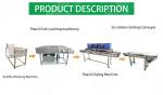 Hot selling Factory Direct Sales Conveyor Belt Vegetable Washer by Huafood