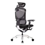 GTCHAIR ISEE Ergonomic Chair High Back Mesh Swivel Office Chairs