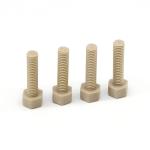 PEEK MOLD manufacturer for injection Wear resistance Peek screws