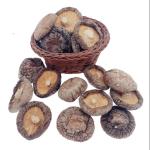 Brown Typical Delicious Dry Shiitake Mushroom 4cm Cultivation Cubensis