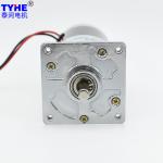 Customizable Brushed PMDC Gear Motor With Brake 24v High Torque 100Rpm