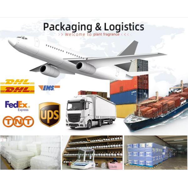 High Concentrated Patchouli Fragrance For Diffuser & Scented candles & Reed Sticks