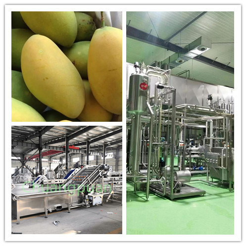 ISO9001 CE Mango Pulp Production Line 500-50000KG/H