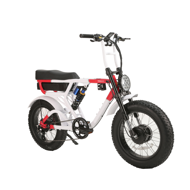 LCD Display Electric Retro Motorcycle with 750W Dual Motors and Long Range Capability