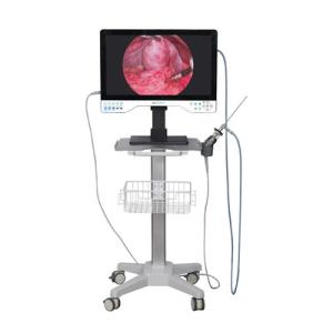 Wholesale 24in TUYOU Nasopharyngoscope Endoscope Camera Recorder For High Definition Laparoscopy Surgeries from china suppliers