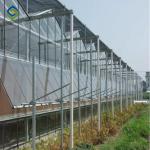 Hanging Load 0.15KN/M2 6.0m Commercial Glass Greenhouse