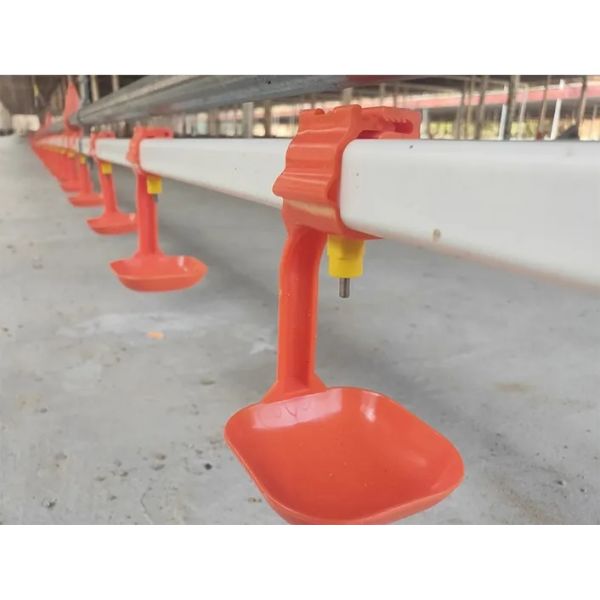 Hot-dip Galvanized Automatic Broiler Farming Equipment with Feeding and Ventilation Systems