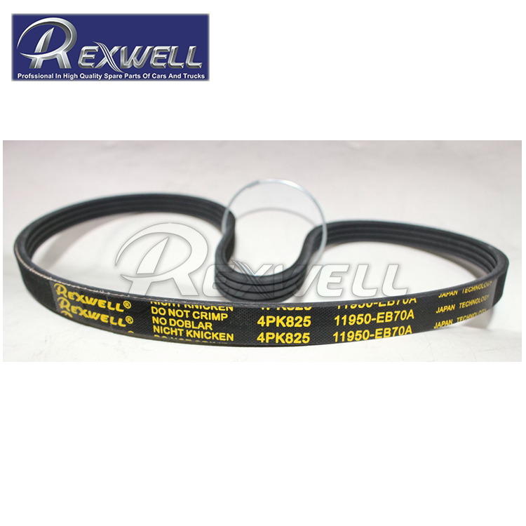 Nissan NAVARA D40 YD25DDTI Engine Power Steering Pump Drive Belt 2006-2011 11950-EB70A