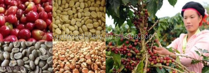Low Energy Green Coffee Bean Thresher/Peeler Machine Line for High Capacity Processing