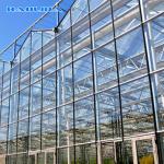 Agricultural Venlo Style Greenhouse Flower Growth Good Waterproof Anti Age